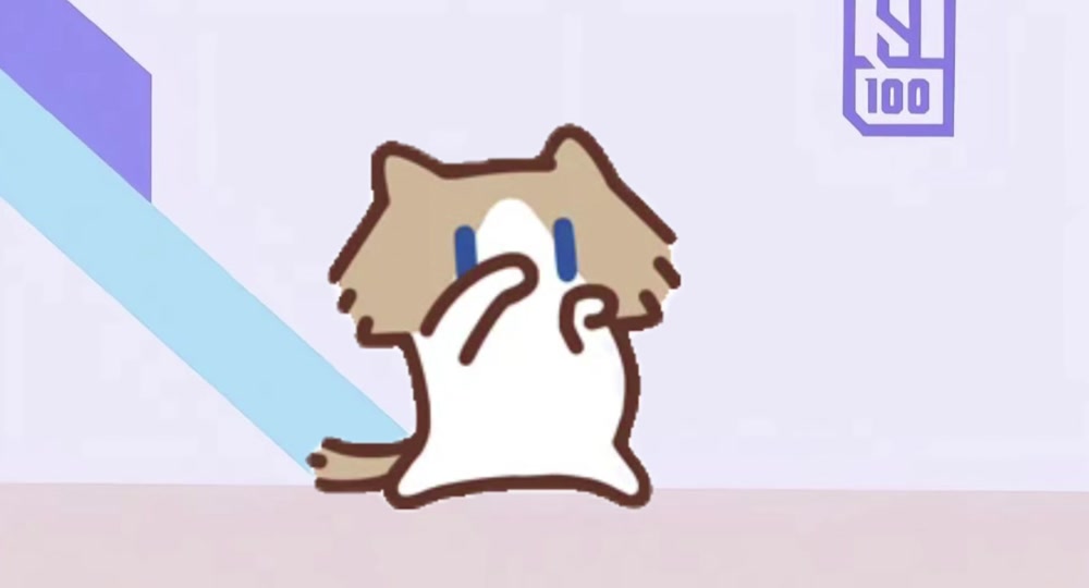 月薪喵 — Monthly Salary Cat Chinese internet meme